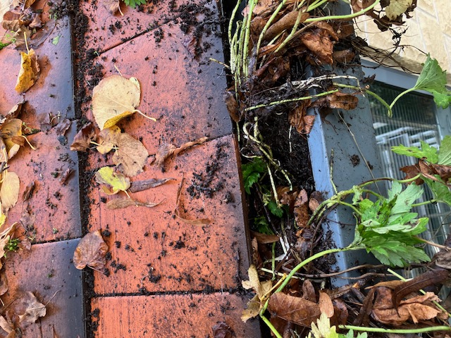 Gutters and Rainwater Goods image 11